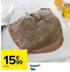 Turbot