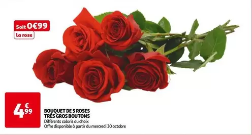 Bouquet De 5 Roses Très Gros Boutons