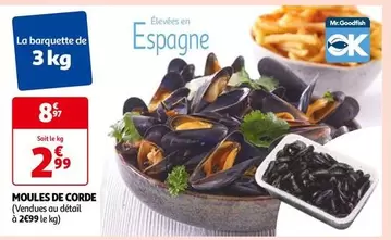 Mr.Goodfish - Moules De Corde