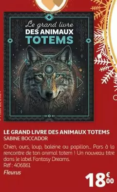 Papillon - Le Grand Livre Des Animaux Totems par Sabine Boccado