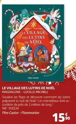 Flammarion - Le Village Des Lutins De Noel