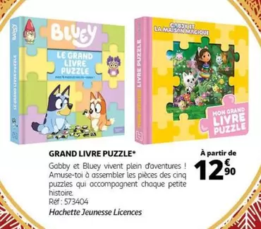 Hachette Jeunesse Licences - Grand Livre Puzzle