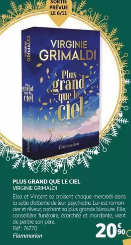 Flammarion - Plus Grand Que Le Ciel