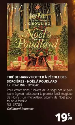 Noël à Poudlard : Plongée Magique dans Harry Potter à l'École des Sorciers