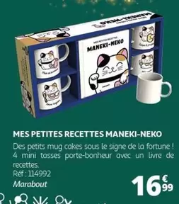 Mes Petites Recettes Maneki-neko