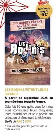 Auchan - Les Bodin's Fetent Leurs