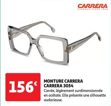 Carrera - Monture  3054