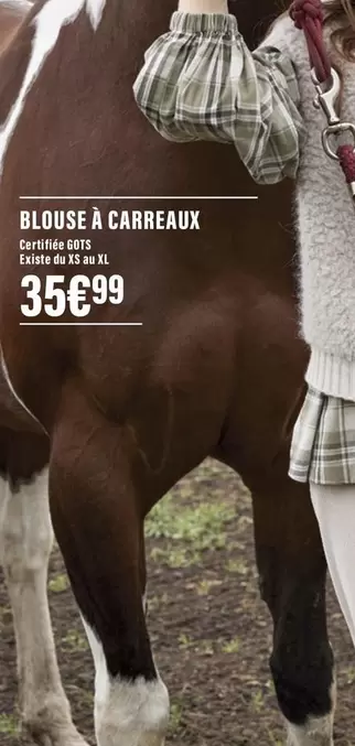 xs - Blouse À Carreux