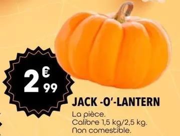 Lantern - Jack O'o'lantern