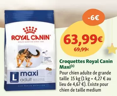 Royal Canin - Croquettes Maxi offre à 63,99€ sur Maxi Zoo