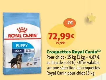 Royal Canin - Croquettes 