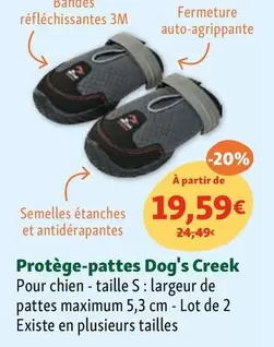 Protege - Pattes Dog's Creek 