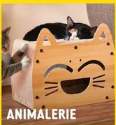 Animalerie offre sur Gifi