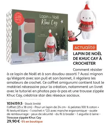 Lapin De Noël De Khuc Cay À Crochèter