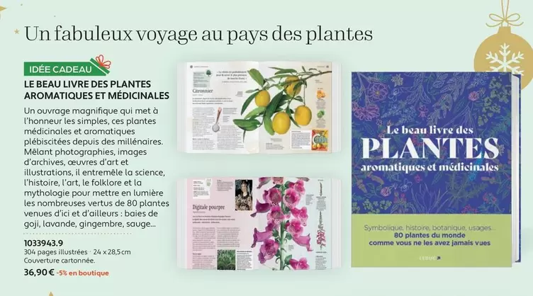 Le Beau Livre des Plantes Aromatiques et Médicinales : Guide Complet pour Découvrir leurs Bienfaits