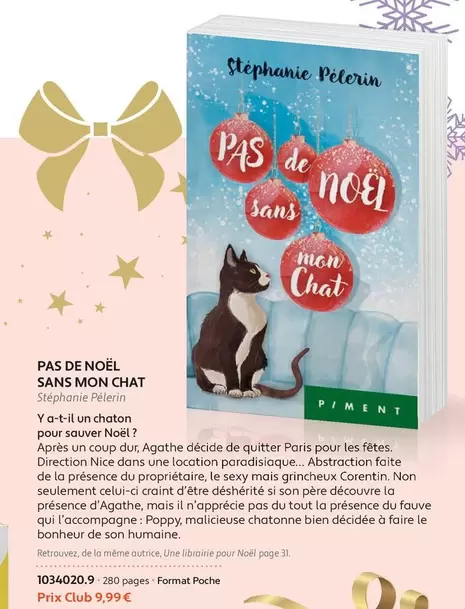 Pas De Noel Sans Mon Chat