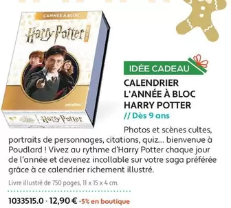 Calendrier L'Année À Bloc Harry Potter