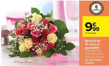 Bouquet De 19 Roses Et Gyspolie