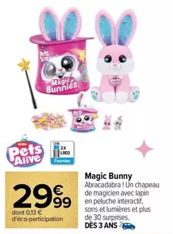 magic bunny