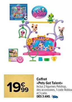 Coffret Pets Got Talent