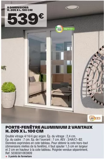 Porte-fenêtre Aluminium 2 Vantaux H.205 x L.100 cm - Qualité supérieure et design moderne