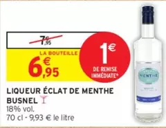 Busnel - Liqueur Éclat De Menthe