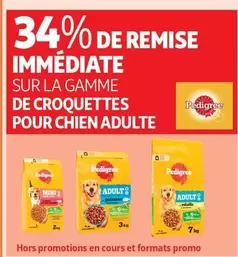 Pedigree - Gamme de Croquettes pour Chien Adulte : Promo et Caractéristiques