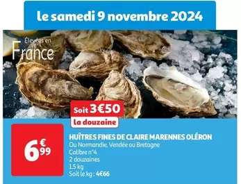 Huîtres Fines De Claire Marennes Oleron