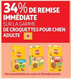 Pedigree : Gamme de Croquettes pour Chien Adulte - Qualité supérieure pour le bien-être de votre compagnon