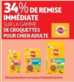 Pedigree : Découvrez notre gamme de croquettes pour chiens adultes - qualité, saveur et nutrition optimales !