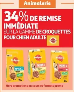 Pedigree : Découvrez la Gamme de Croquettes pour Chien Adulte - Promo et Caractéristiques Incluses