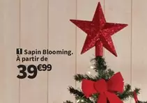 Sapin Blooming. À Partir De