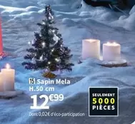 15 Sapin Mela