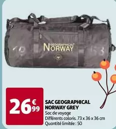 Sac Geographical Norway Grey