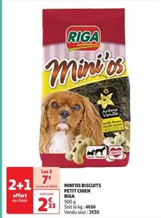 Riga - Minitos Biscuits Petit Chien