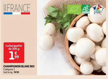 Champignon Blanc Bio