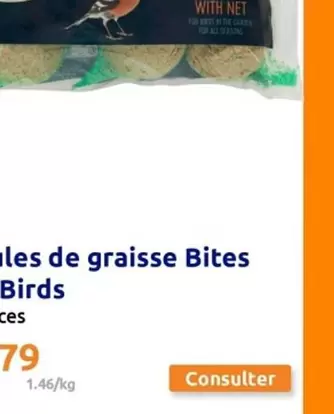 Bites For Brie - Boules De Graisse