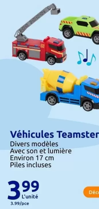 Véhicules Teamster