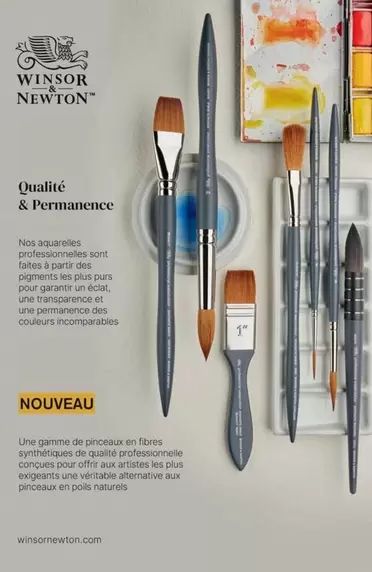 Winsor Newton offre sur Le Géant des Beaux-Arts