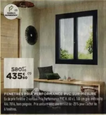 Pria Performance - Fenêtres offre à 435,6€ sur Lapeyre