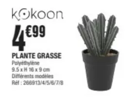 Plante Grasse