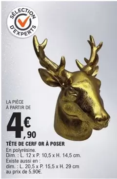 Tête De Cerf Or À Poser