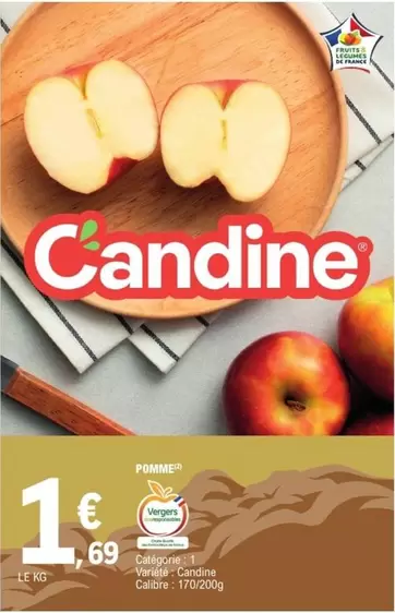 Candine - Calefone