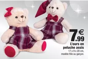 L'Ours En Peluche Assis offre à 7,99€ sur Bazarland