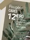 Fougère Cades offre à 12,9€ sur Ambiance & Styles