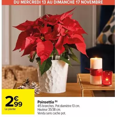 Poinsettia offre à 2,99€ sur Carrefour Market