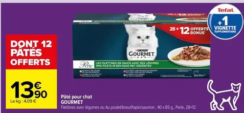 tefal - piste pour chat