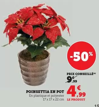 Poinsettia En Pot offre à 4,99€ sur Super U