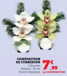 Composition De Cymbidium offre à 7,99€ sur Super U