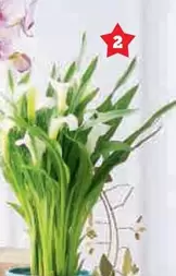 Calla offre à 9,99€ sur Super U